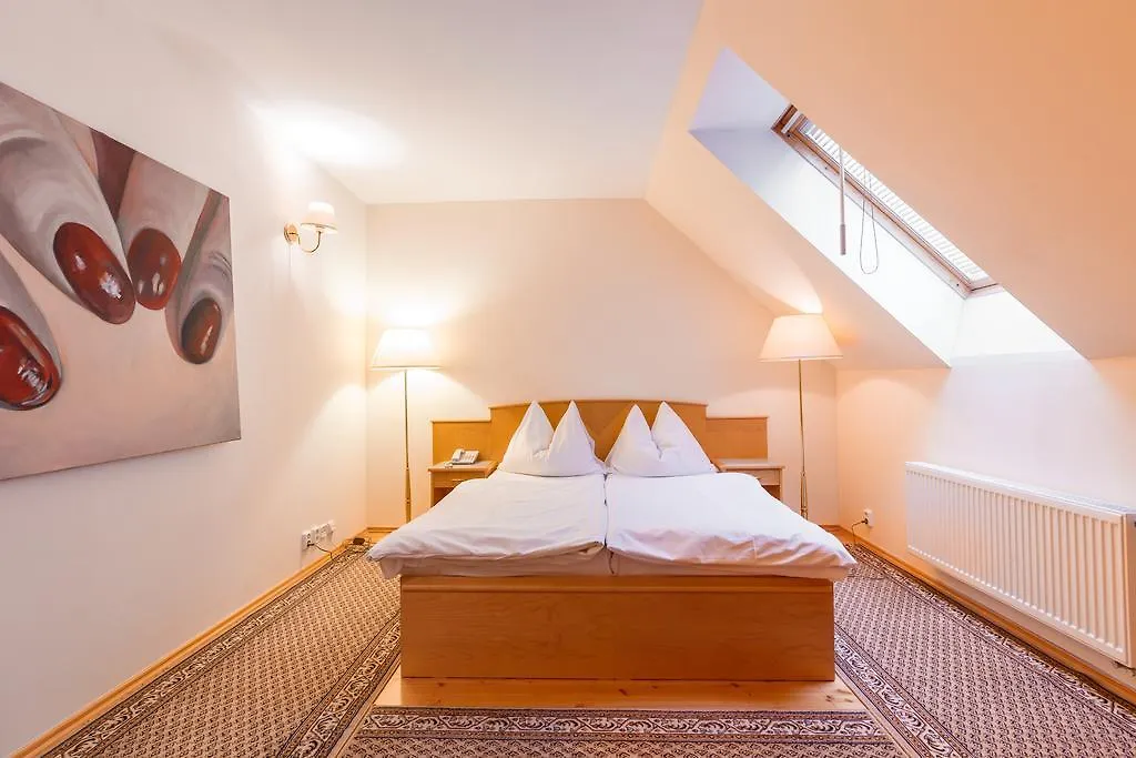 Hotel Maltezsky Kriz Karlovy Vary 3*,